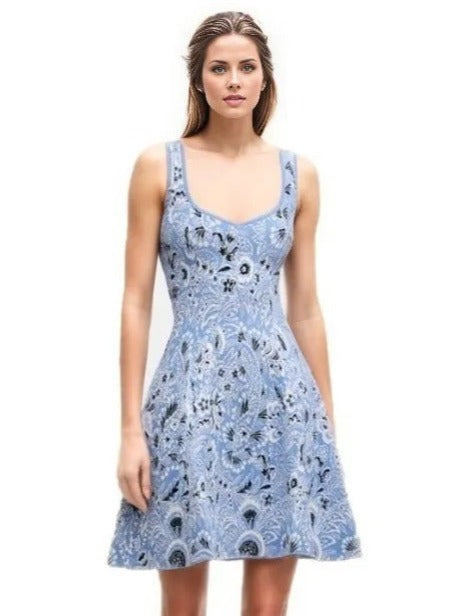 Blue Printed Knitted Mini Dress