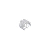 SIlver Fortune Ring