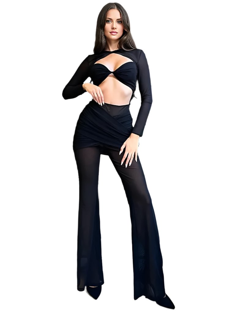 Black Mesh Crop Top & Skirt Pants