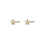 Star Studs Yellow Gold